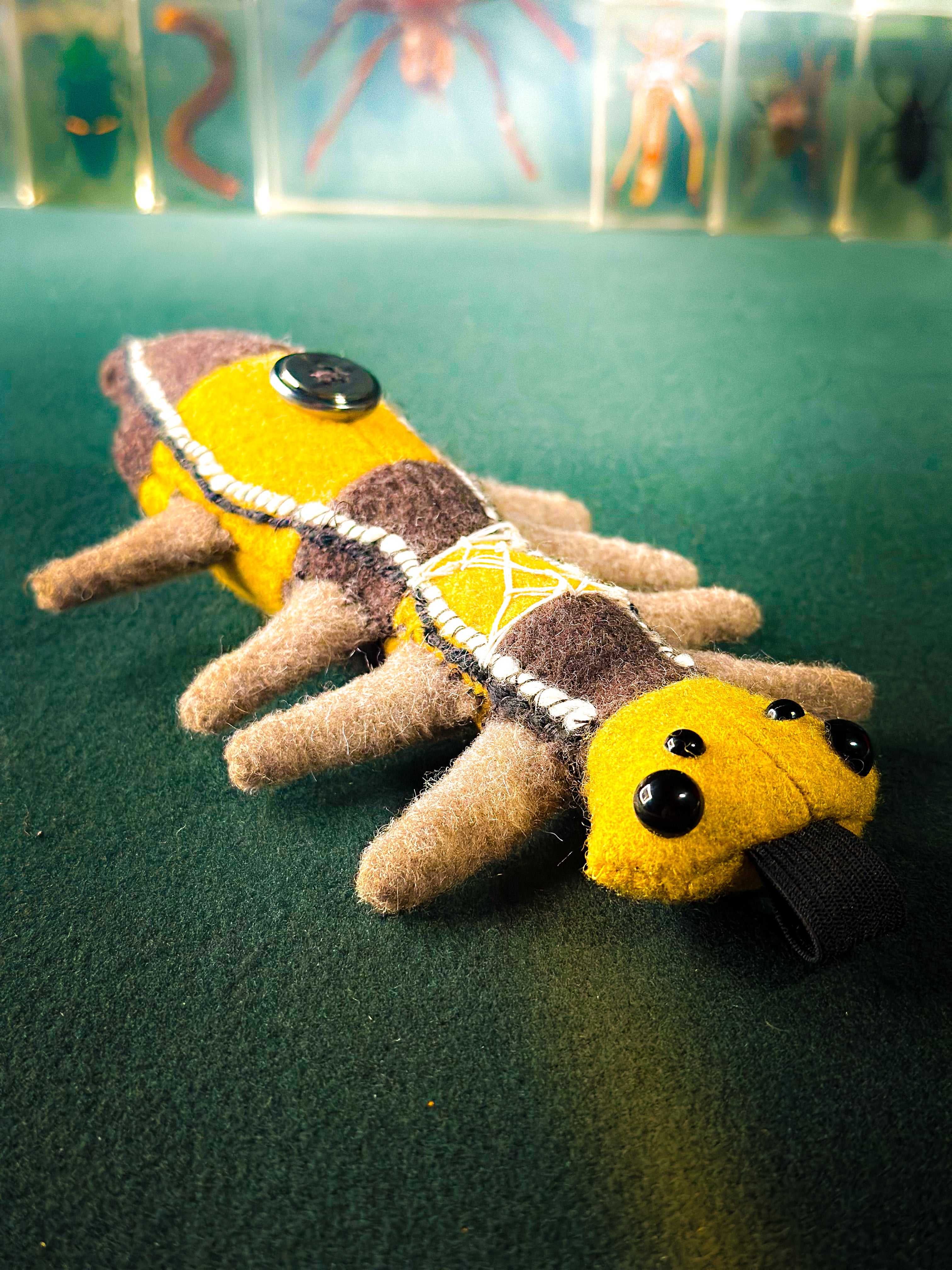 Stitchipede