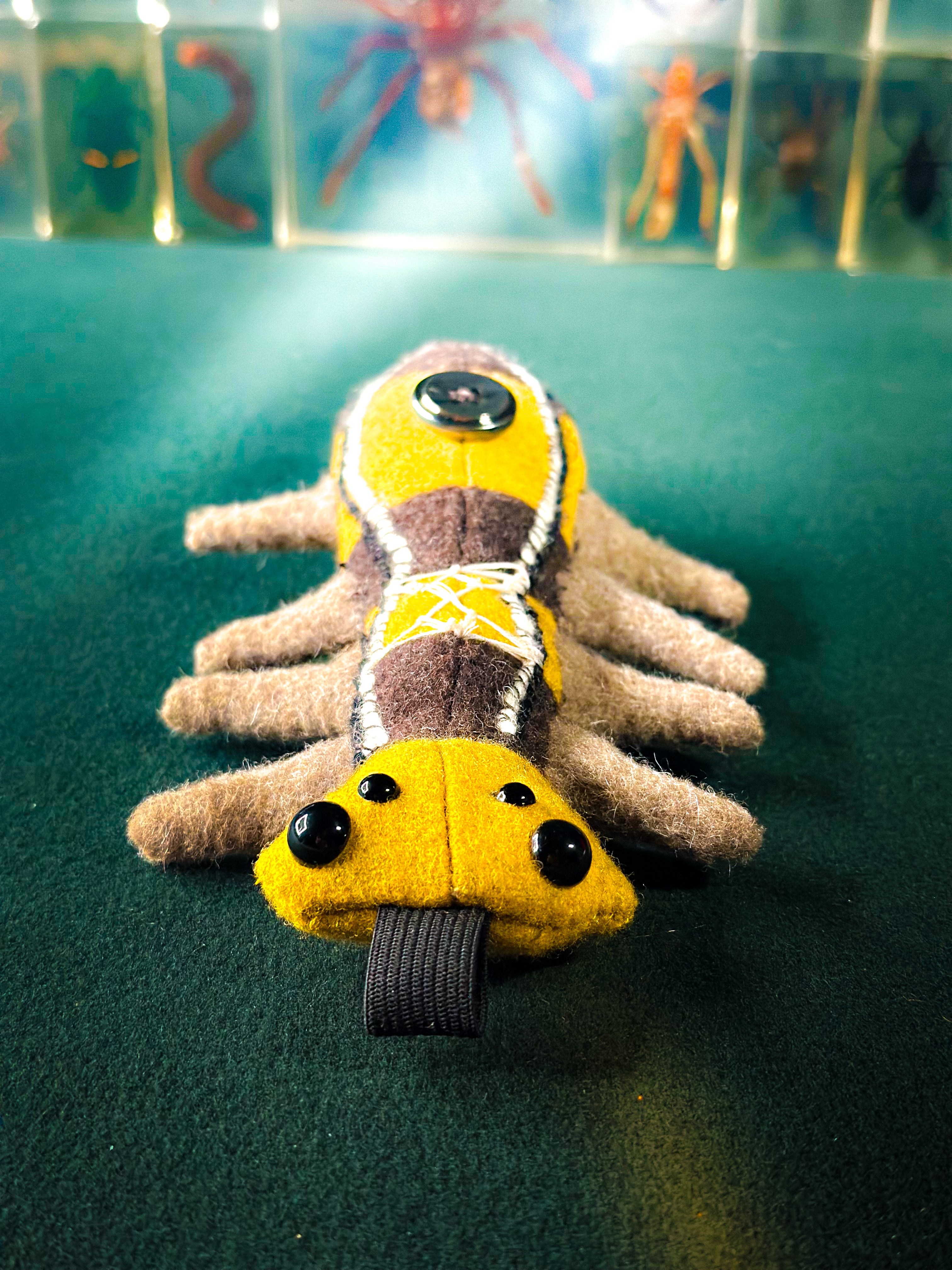 Stitchipede