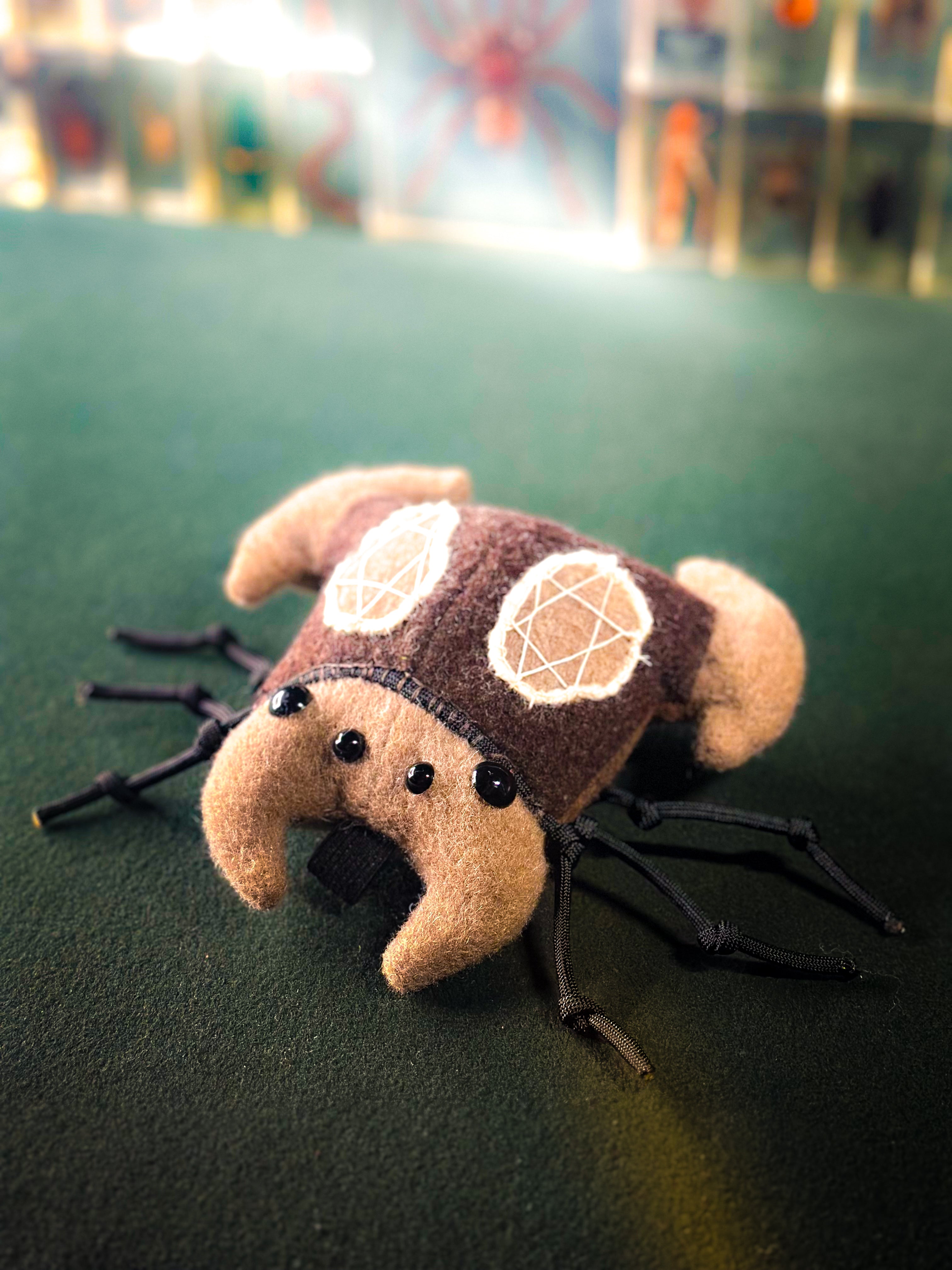 Dreambeet