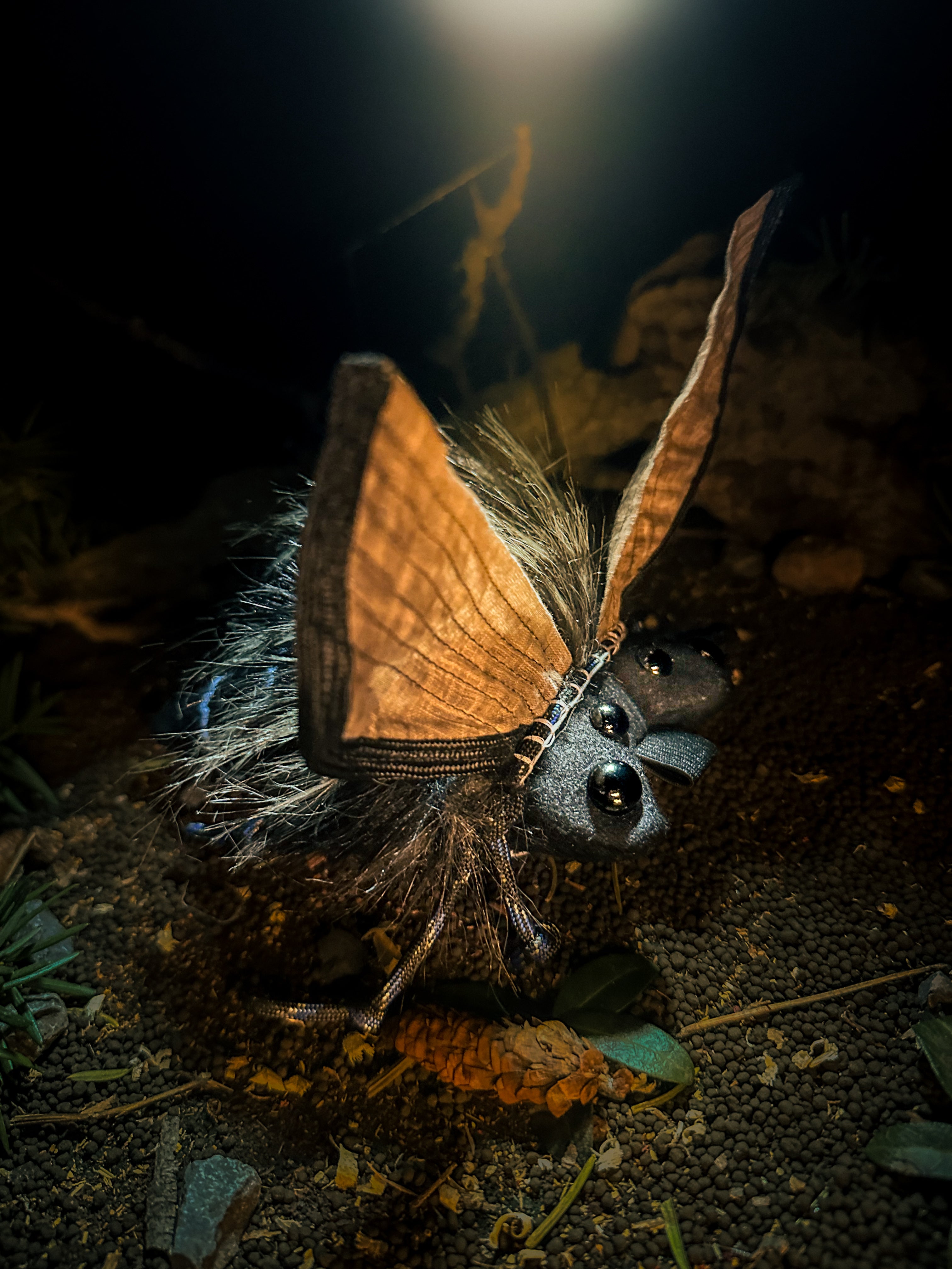 Noctrel