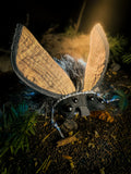 Noctrel