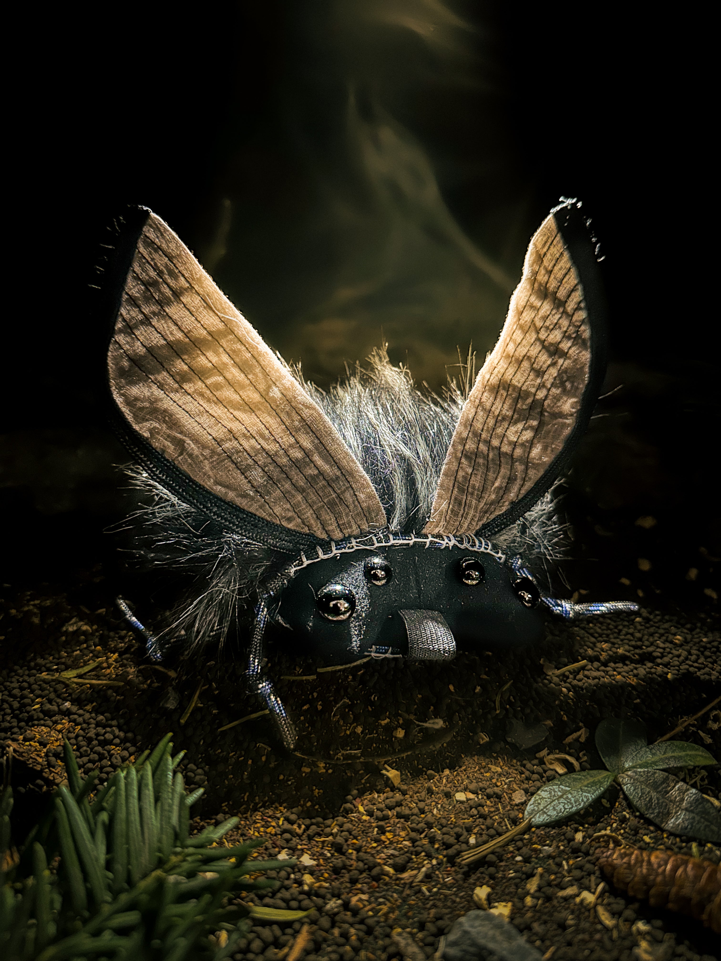 Noctrel