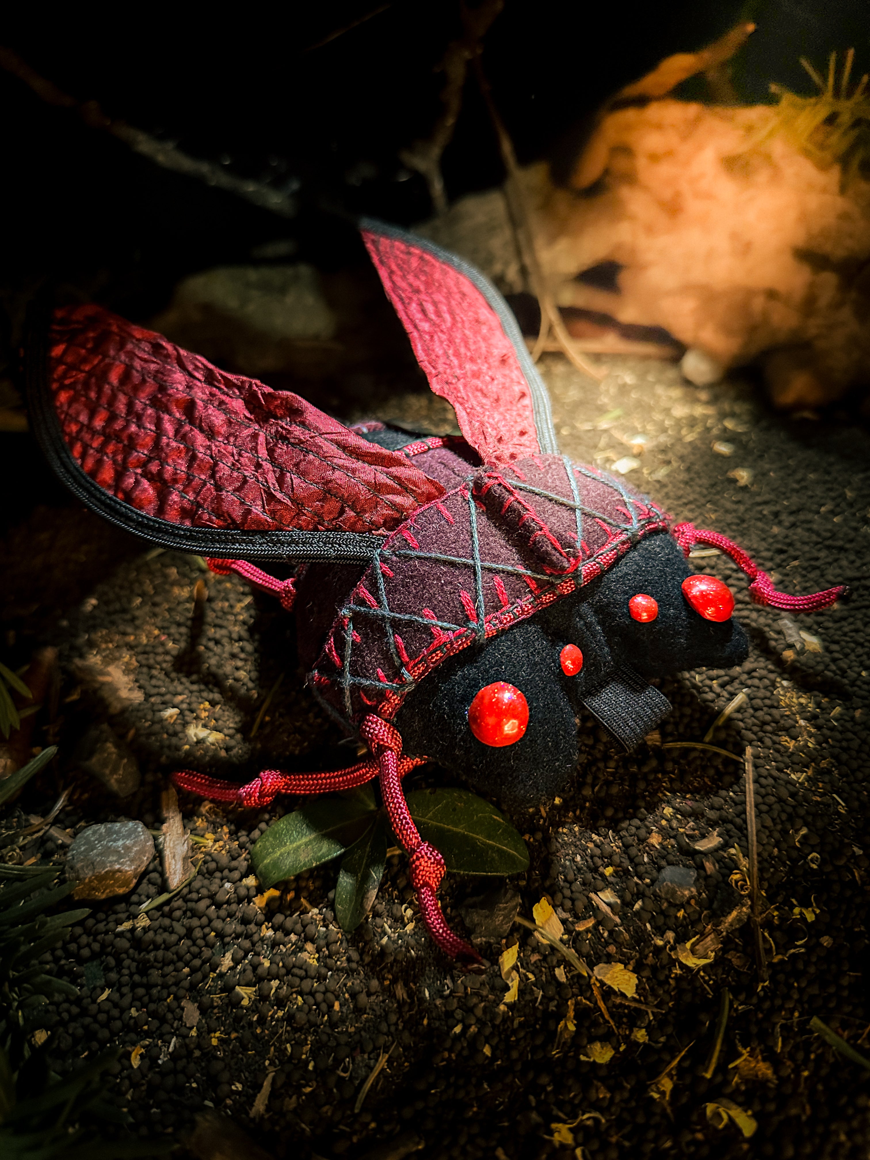 Omenyx