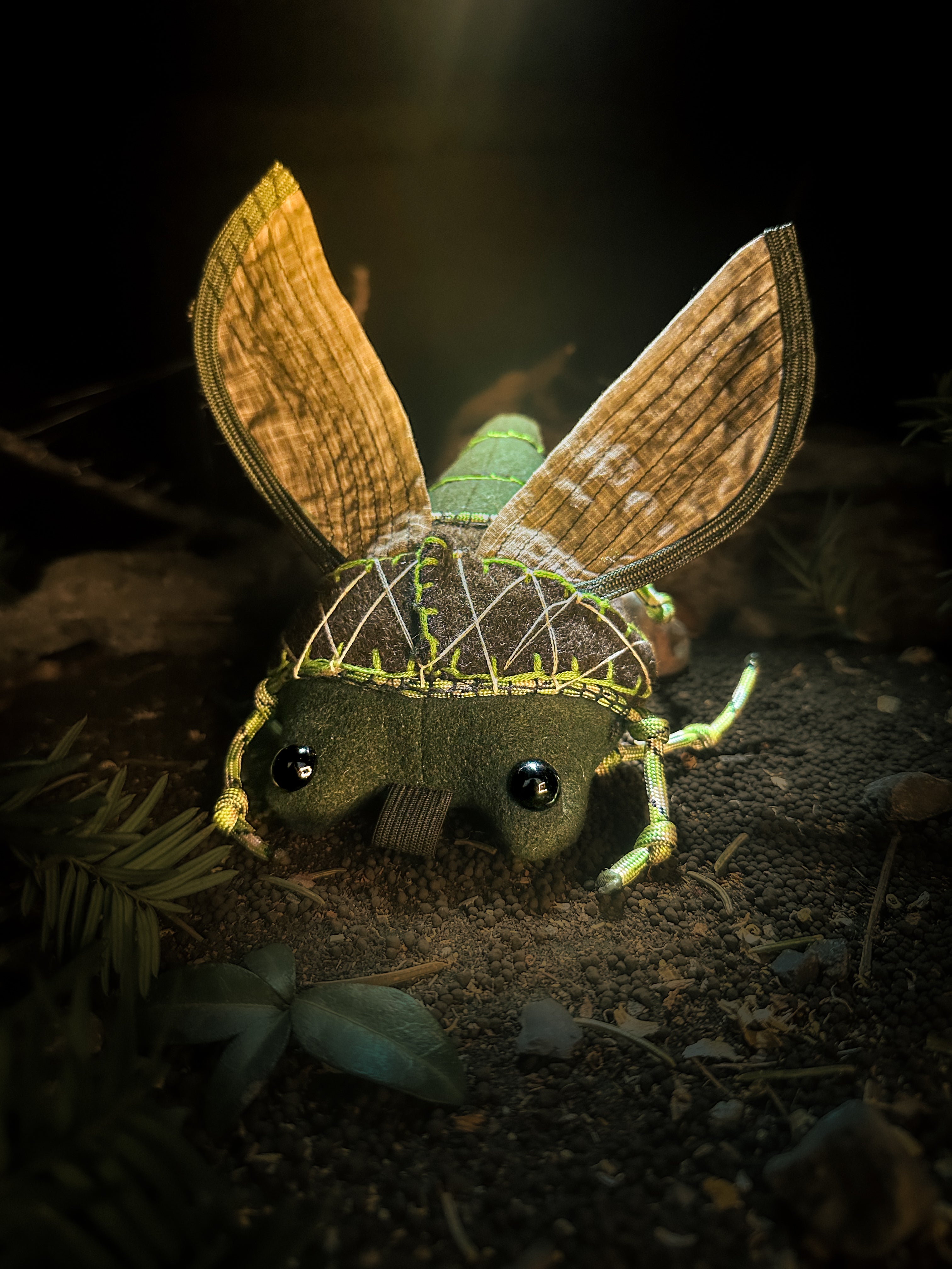 Cicaryn
