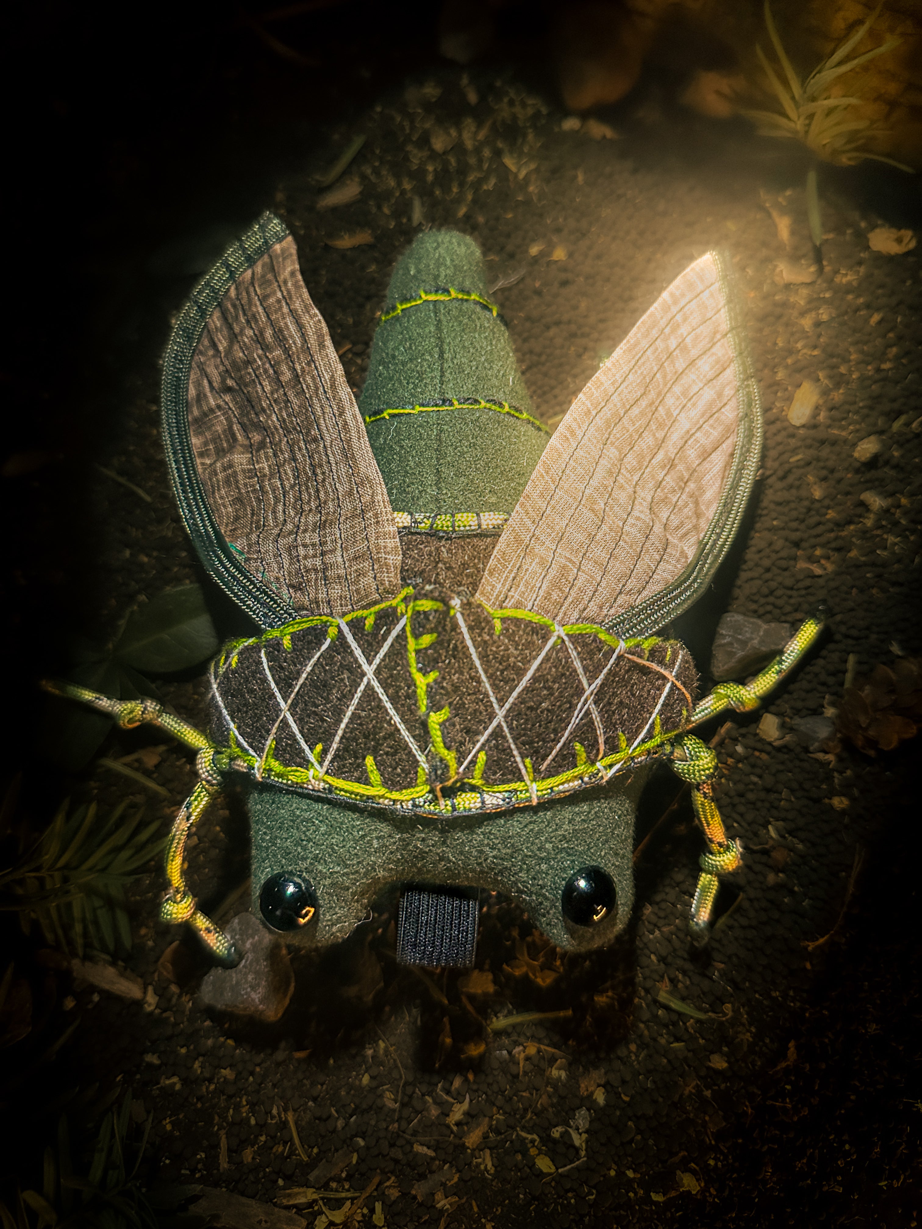 Cicaryn